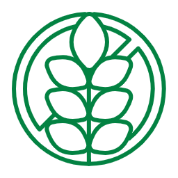 Vegan & Gluten-Free Options - aequitasinfotech.com