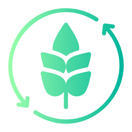 Vegan & Gluten-Free Options - aequitasinfotech.com